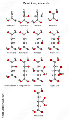 Structural chemical formulas of basic bioorganic acids