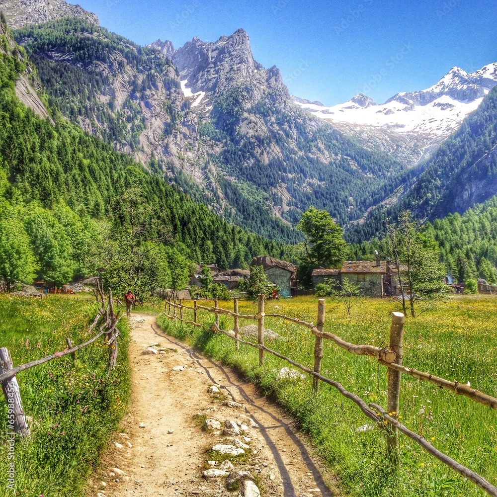 natura in Val di Mello, alpi italiane