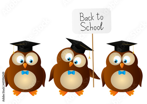 Funny student owls isolated on white