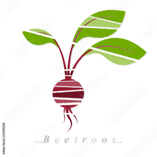 Vector of vegetable, beetroot icon on isolated white background