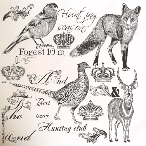 Collection of vector hand drawn animals for  hunting design