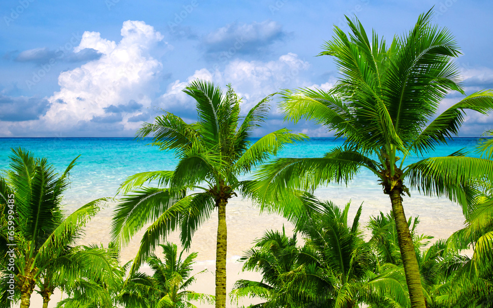 Fototapeta premium tropical sea