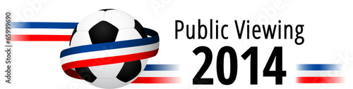 Public Viewing 2014