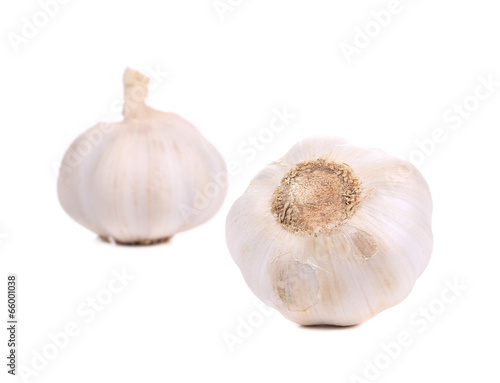 Head of garlic.