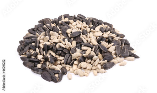 Obraz na plátně Bunch of white and black sunflower seeds.