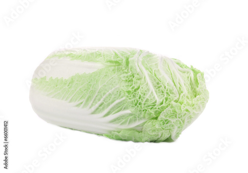 Fresh chinese cabbage.