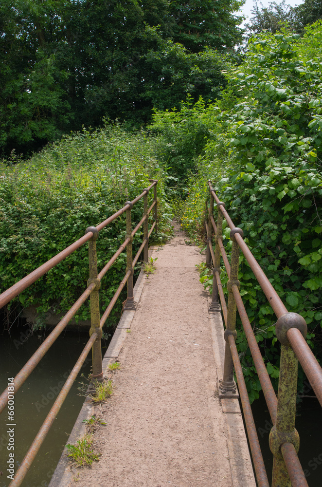 Foot Bridge Into Dense Foliage