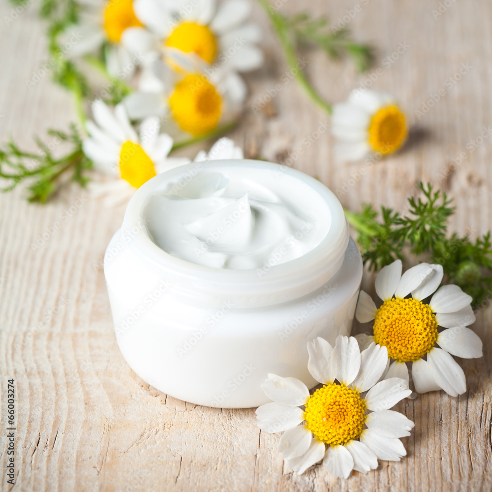 container with cream and chamomiles container with cream and chamomiles