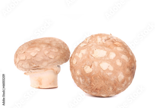 Brown champignon mushrooms.