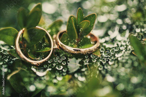 Wedding-ring on green
