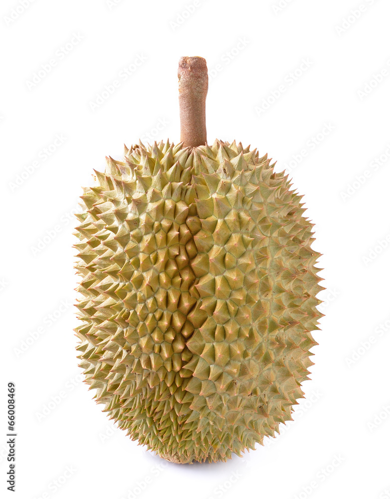 durian isolated on white background durian isolated on white background