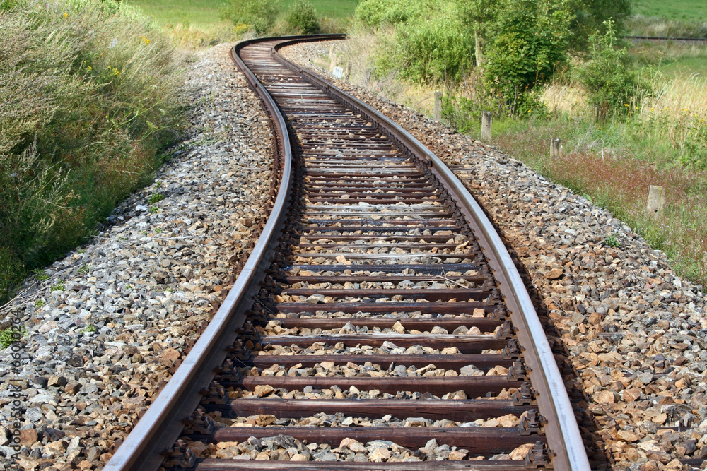 Fototapeta premium Train in the landscape