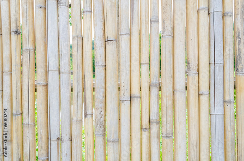 Bamboo fence