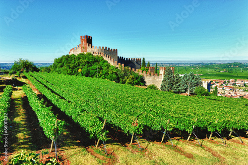 Soave