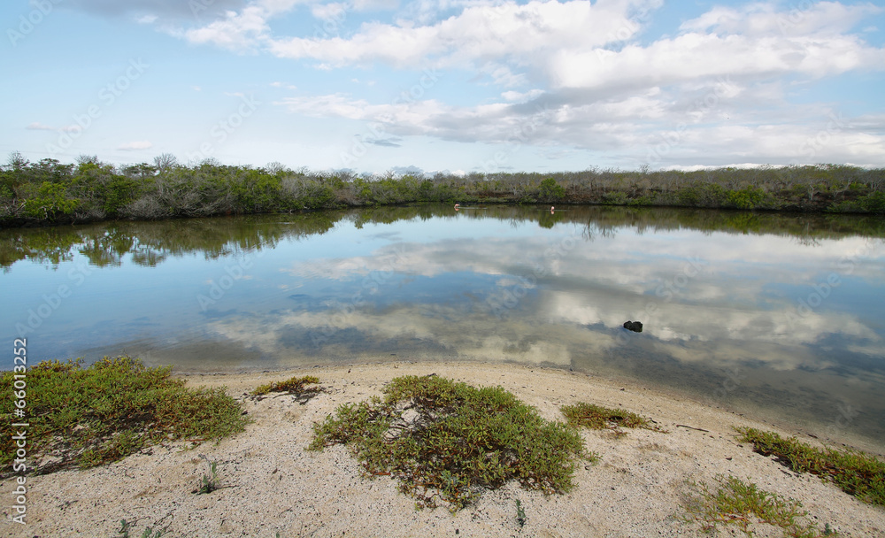 Fototapeta premium Lagoon with flamings in Bachas beach