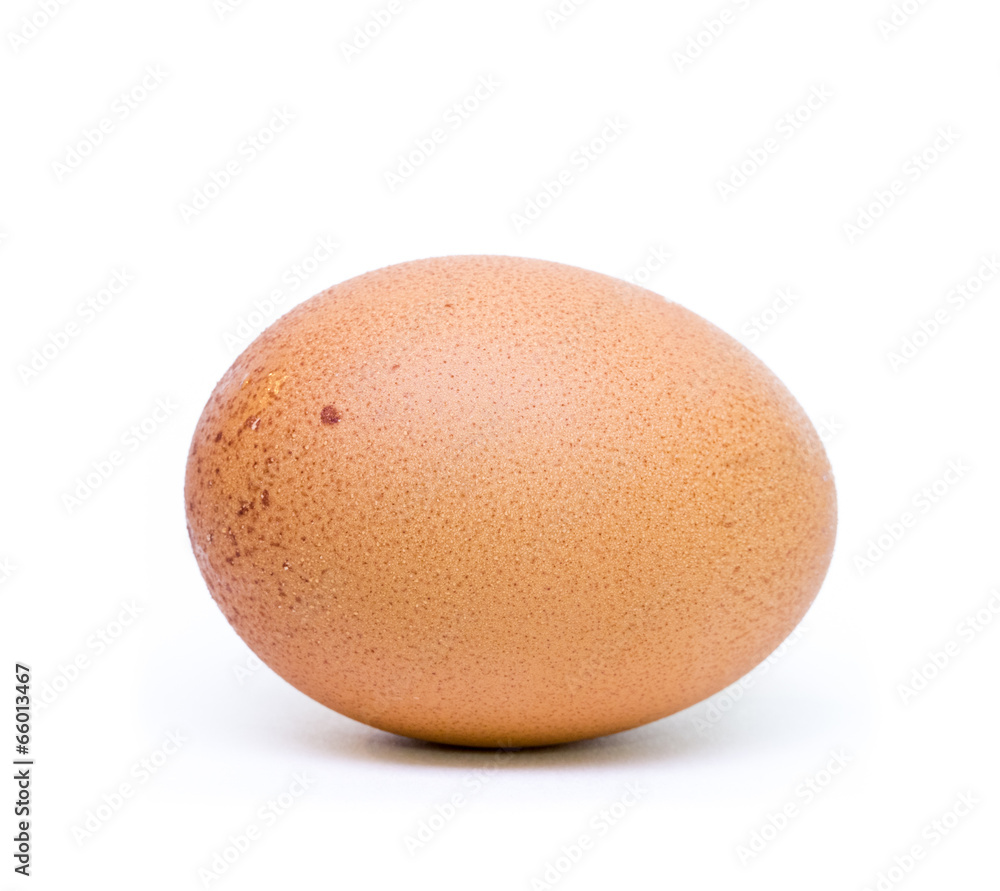 Egg isolated on white background Egg isolated on white background