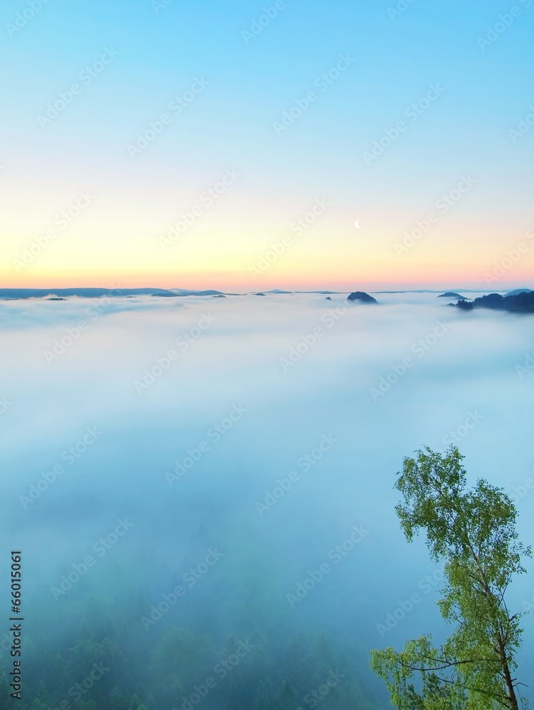 spring blue pink misty sunrise in a beautiful valley of park