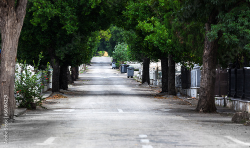 the road to cemetery