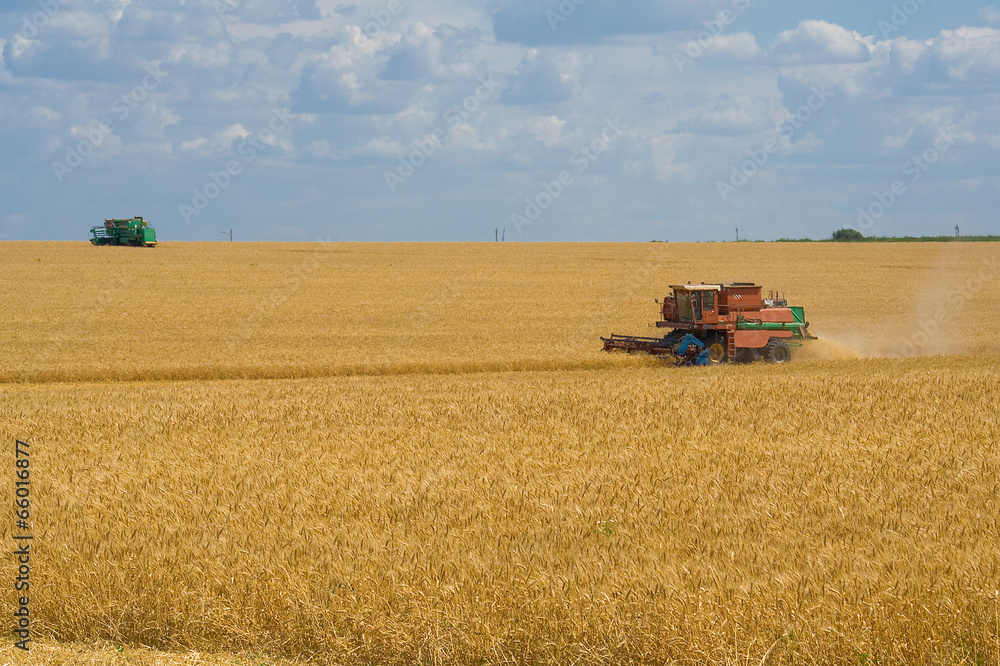 Harvesting wheat harvesters Harvesting wheat harvesters