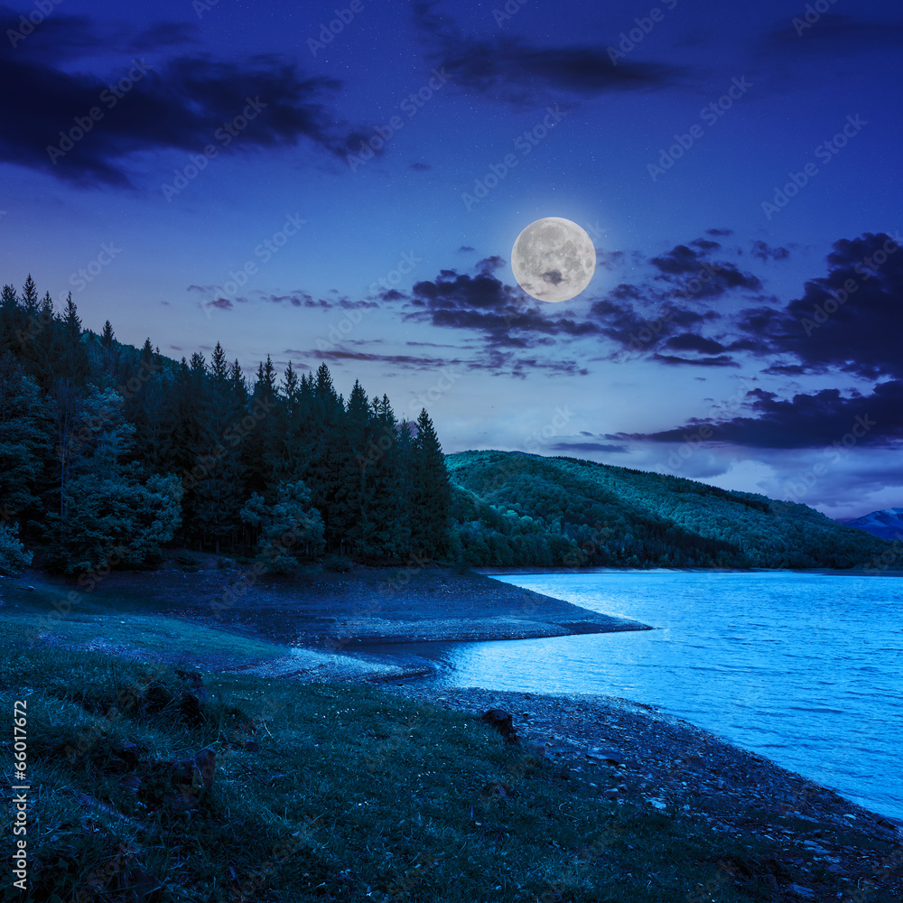 forest and lake near the mountain at night Stock Photo | Adobe Stock
