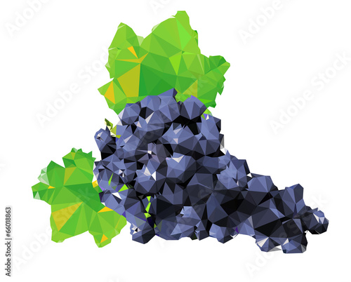 Polygonal Grape Fruit Illustration