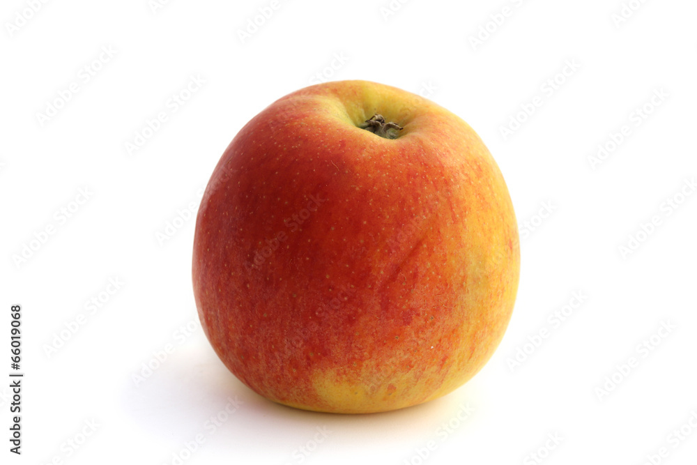Pomme Pomme