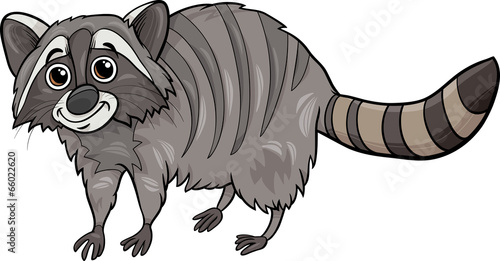 raccoon animal cartoon illustration