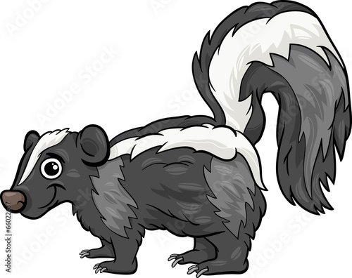 skunk animal cartoon illustration
