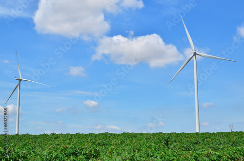 Wind Turbine Fields