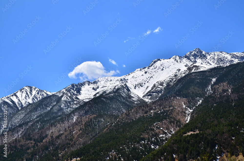 custom made wallpaper toronto digitalSnow Mountain Range