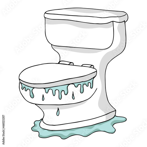 Overflowing Toilet