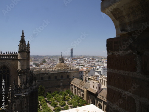 Giralda de la catedral de Sevilla photo