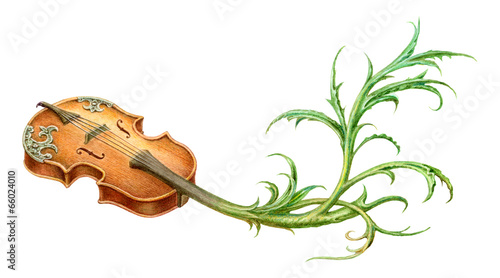 Fairy-tale mystic violin with plant scroll painting. Isolated on