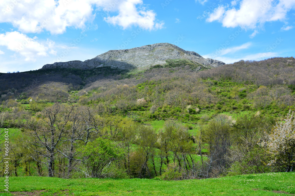 praderas verdes en los picos de europa praderas verdes en los picos de europa