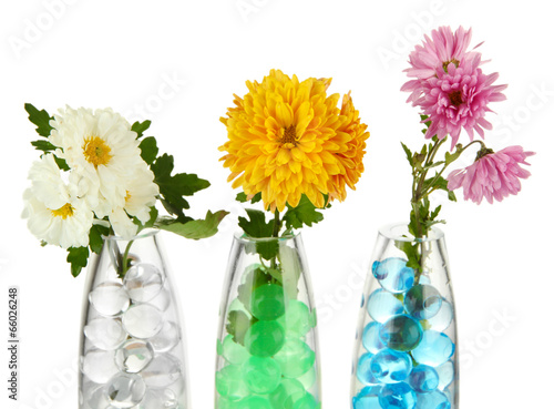 Beautiful flowers in vases with hydrogel isolated on white