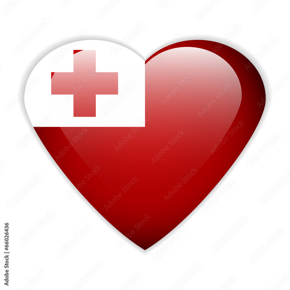 Tonga flag button. Tonga flag button.