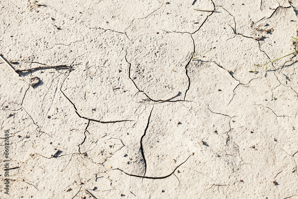 Obraz premium Cracks in dry soil texture