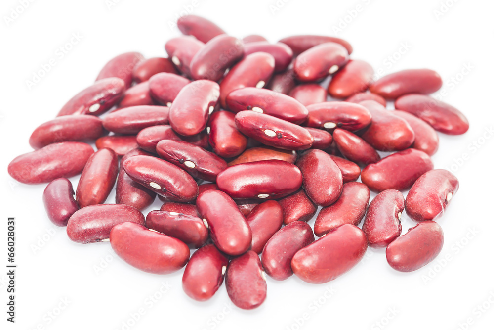 kidney beans on white background kidney beans on white background