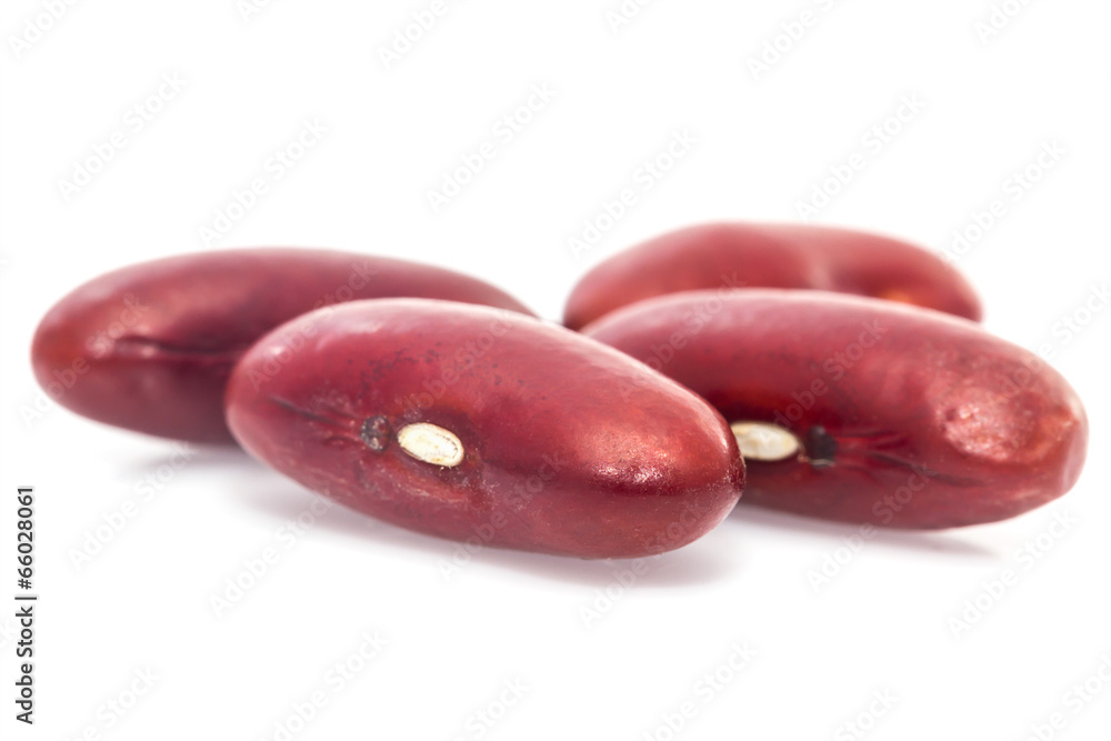 kidney beans on white background kidney beans on white background