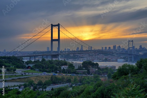 Bosphorus Bridge sunset behind the trees