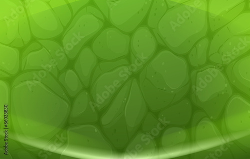 A green stonewall