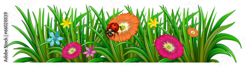 A garden with a blooming flowers and a ladybug