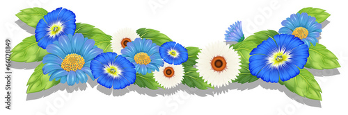 Blooming flowers