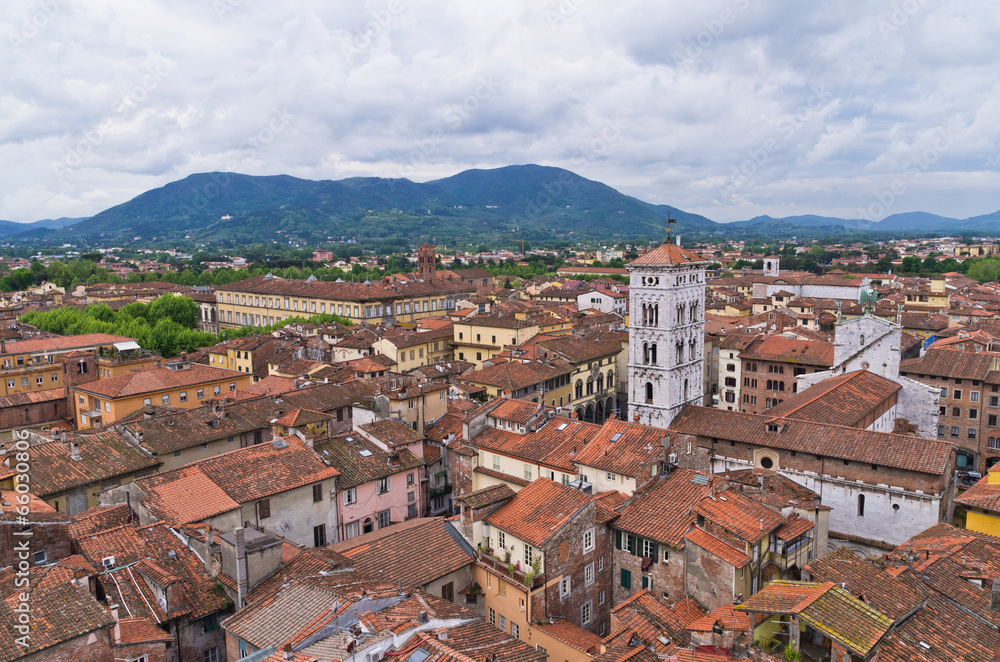 Cityscape over the roofs of Lucca, Tuscany