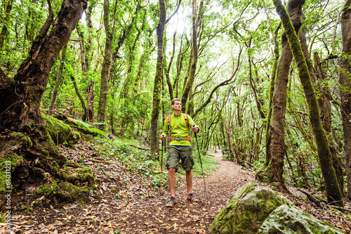 Hiker walking trekking in green forest