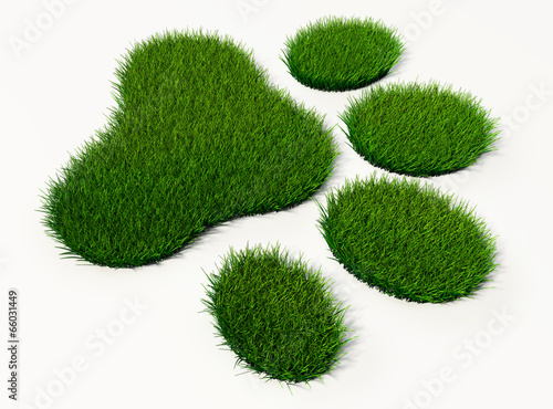 green grass animal footprint
