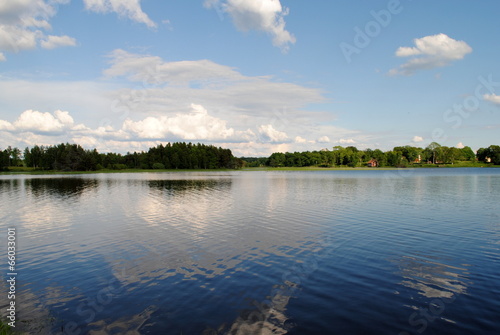 see