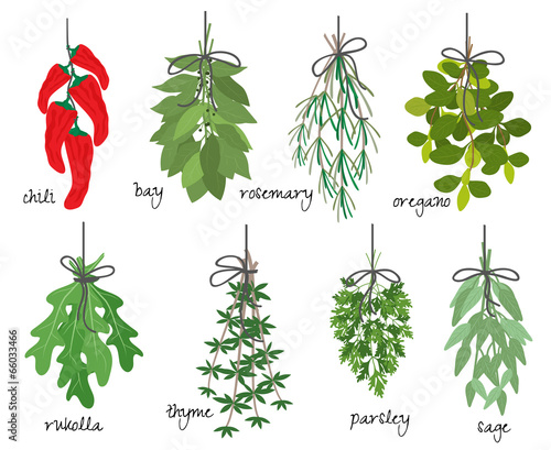 Bunches of medicinal aromatic herbs