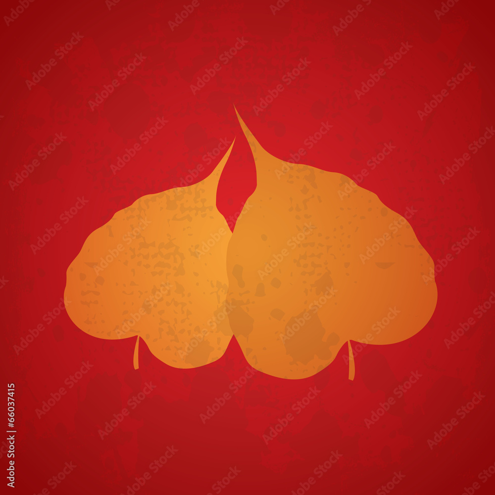 Obraz premium tree bodhi leaf