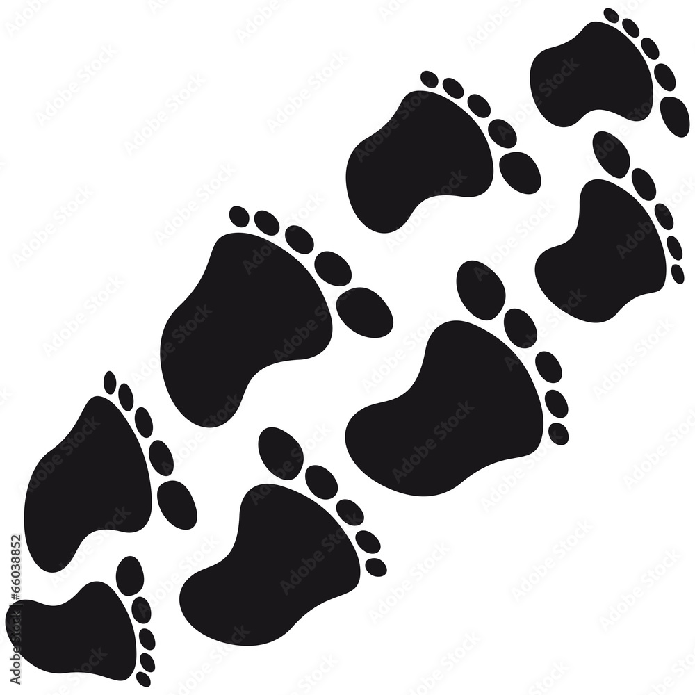 Fototapeta premium Baby Fußabdrücke runder dicker Bauch